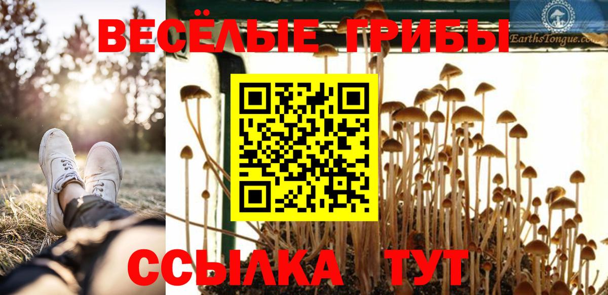 Псилоцибиновые грибы Cubensis Вольск